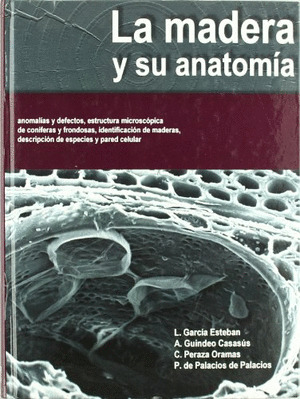 MADERA Y SU ANATOMÍA, LA