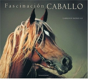FASCINACION CABALLO