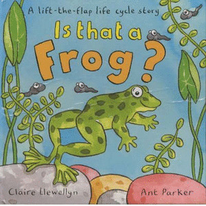 IS THAT A FROG?