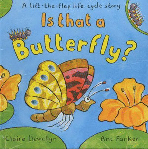 IS THAT A BUTTERFLY?