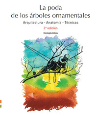 ORDENACIÓN TERRITORIAL