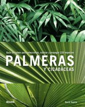 PALMERAS Y CICADACEAS