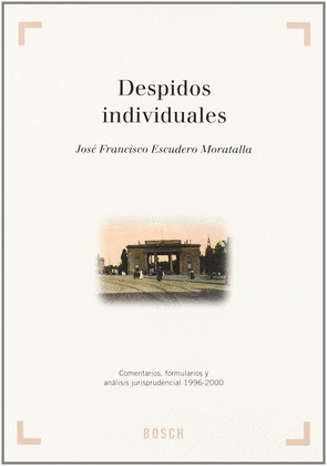 DESPIDOS INDIVIDUALES