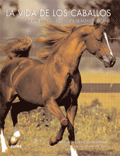 VIDA DE LOS CABALLOS, LA