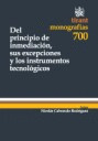 DEL PRINCIPIO DE INMEDIACION, SUS EXCEPCIONES Y LOS INSTRUMENTOS