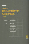 ESQUEMAS DE DERECHO CONSTITUCIONAL . TOMO XXII