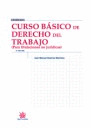 CURSO BÁSICO DE DERECHO DEL TRABAJO