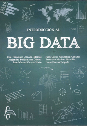 INTRODUCCION AL BIG DATA