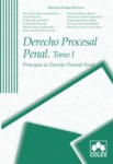 DERECHO PROCESAL PENAL, 1 PRINCIPIOS