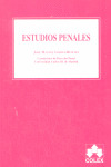 ESTUDIOS PENALES