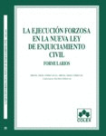 EJECUCION FORZOSA NUEVA LEY ENJUICIAMIENTO