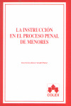 INSTRUCCION PROCESO PENAL