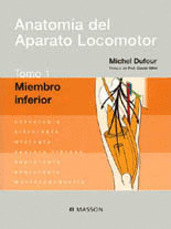 ANATOMIA APARATO LOCOMOTOR 1. MIEMBRO INFERIOR