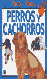 PERROS Y CACHORROS