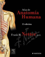 ATLAS DE ANATOMIA HUMANA