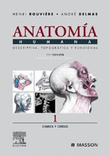ANATOMIA HUMANA 1. CABEZA Y CUELLO (11ª EDICION)