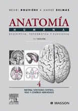 ANATOMIA HUMANA 4. S.NERVIOSO CENTRAL,VIAS Y C.NERV.(11ª ED.