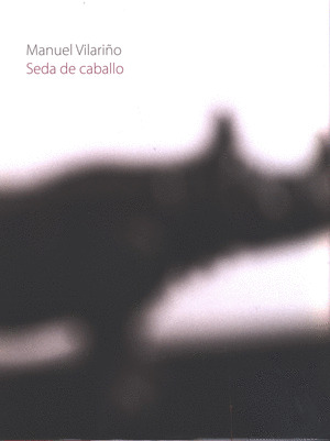 MANUEL VILARIÑO. SEDA DE CABALLO