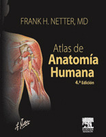 ATLAS DE ANATOMIA HUMANA (NETTER)