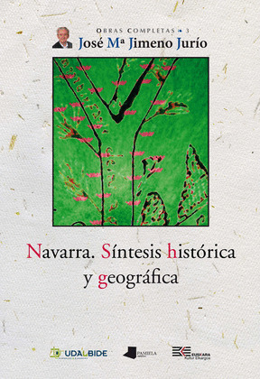 NAVARRA. SINTESIS HISTORICA Y GEOGRAFICA.