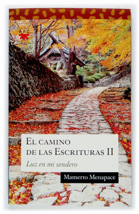 SA.125 EL CAMINO DE LAS ESCRITURAS II