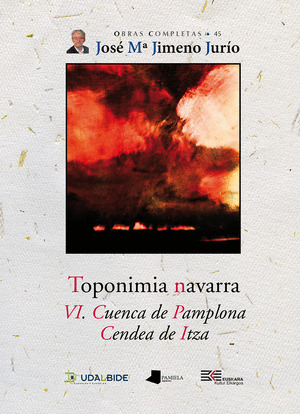 TOPONIMIA NAVARRA VI. CUENCA DE PAMPLONA. CENDEA DE ITZA