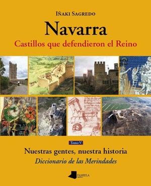 NAVARRA. CASTILLOS QUE DEFENDIERON EL REINO TOMO V