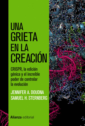 GRIETA EN LA CREACIÓN, UNA
