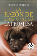 PROMESA, LA (LA RAZÓN DE ESTAR CONTIGO)