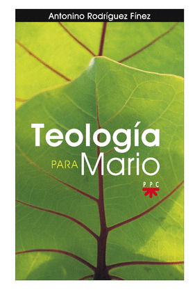 TEOLOGIA PARA MARIO