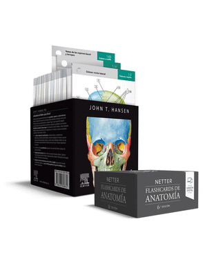 NETTER. FLASHCARDS DE ANATOMIA