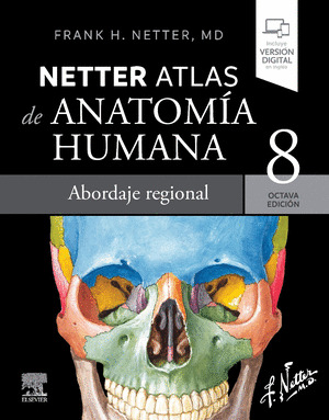 NETTER. ATLAS DE ANATOMIA HUMANA. ABORDAJE REGIONAL