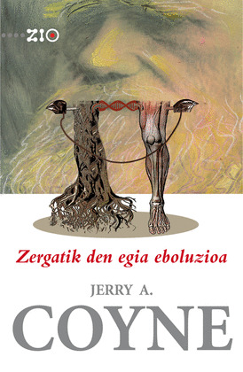 ZERGATIK DEN EGIA EBOLUZIOA
