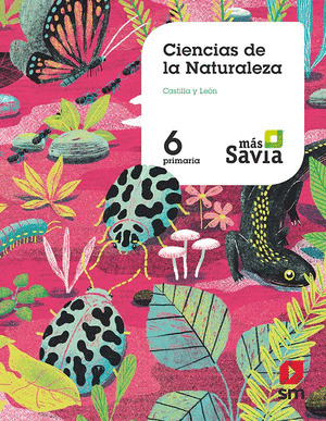 SD PROFESOR. CIENCIAS DE LA NATURALEZA. 6 PRIMARIA. MAS SAVIA. CASTILLA Y LEON