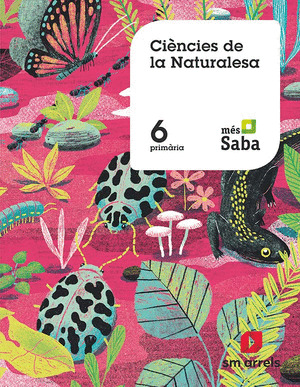 SD ALUMNO. CIENCIES DE LA NATURALESA. 6 PRIMARIA. MES SABA