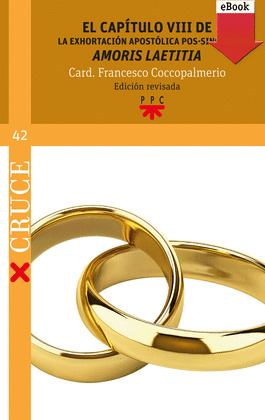 EL CAPITULO VIII DE LA EXHORTACION APOSTOLICA POS-SINODAL 
