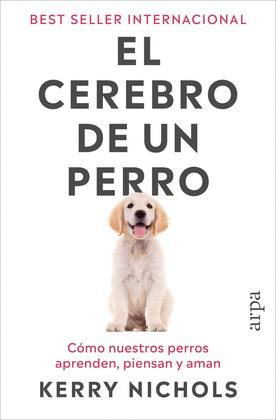CEREBRO DE UN PERRO, EL
