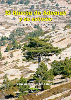 EL RINCON DE ADEMUZ Y SU ENTORNO