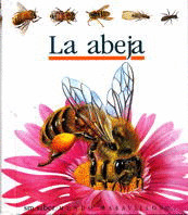 ABEJA, LA/19-MUNDO MARAVILLOSO I