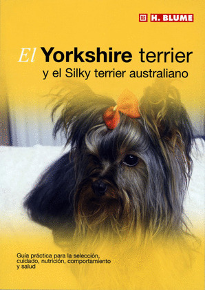 YORKSHIRE TERRIER