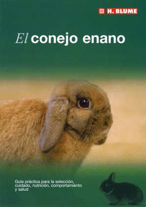 CONEJO ENANO