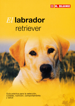 LABRADOR RETRIEVER, EL