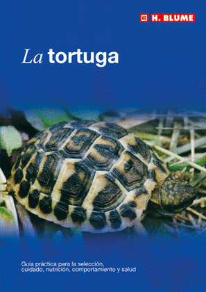 LA TORTUGA