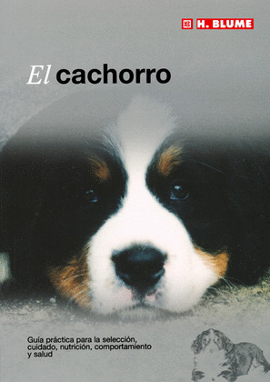 CACHORRO, EL