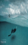 WATER LIGHT TIME POSTCARDS