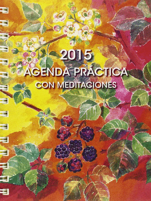 AGENDA PRACTICA CON MEDITACIONES
