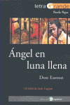 ANGEL EN LUNA LLENA