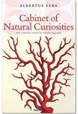 CABINET OF NATURAL CURIOSITIES 25 ANIVERSARIO
