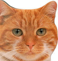 CC.GATOS Y GATITOS. TROQUELADOS