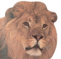 CC.TROQ.ANIMALES SALVAJES